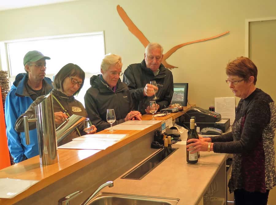 Nelson: Great Taste Trail Coastal Bike Ride to Mapua - Nelson To Mapua: The Real Hook of This Great Taste Trail Ride