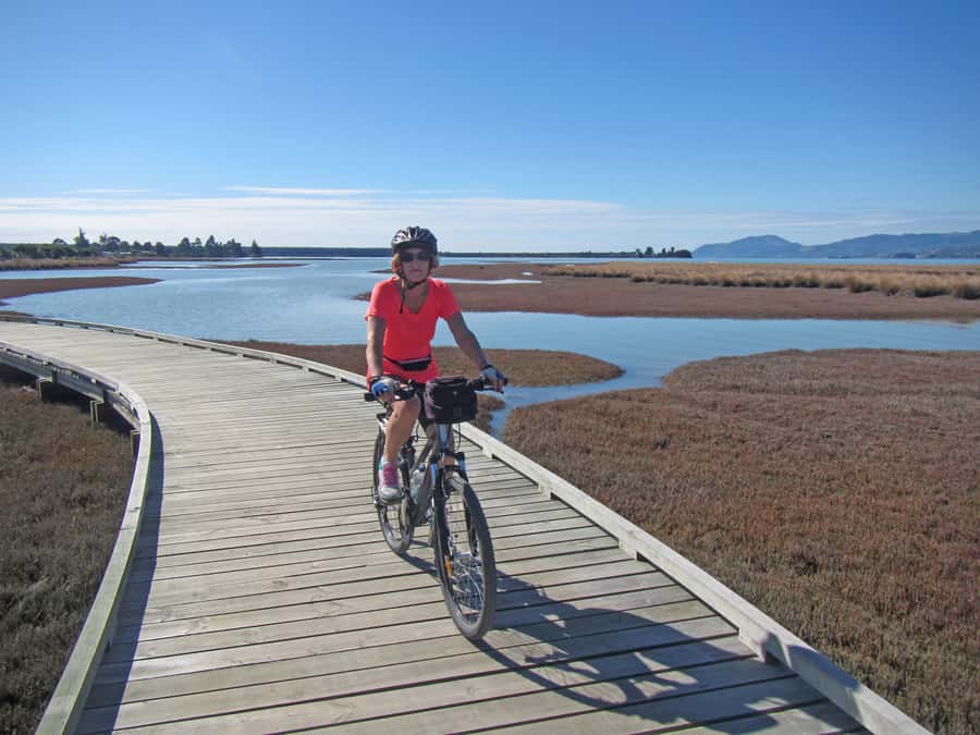 Nelson: Great Taste Trail Coastal Bike Ride to Mapua - Cheese, Cafés, Wineries, and Breweries: How the Stops Shape the Day