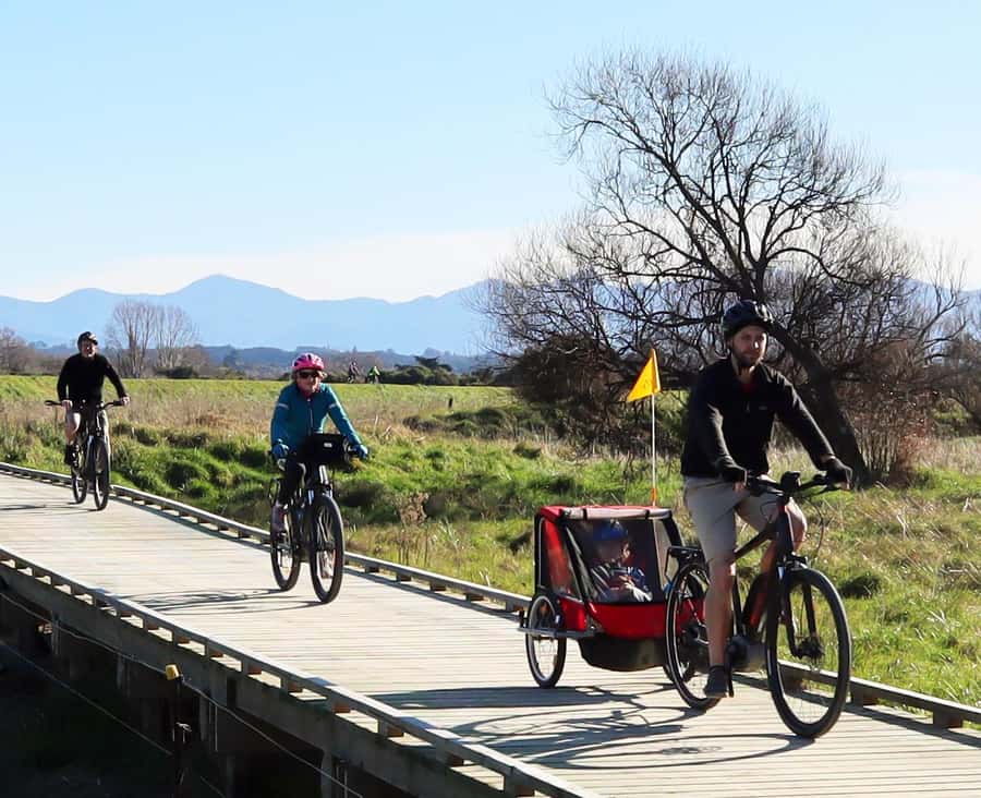 Nelson: Great Taste Trail Coastal Bike Ride to Mapua - Mapua Time: Swimming, Markets, and a Better Way to Finish