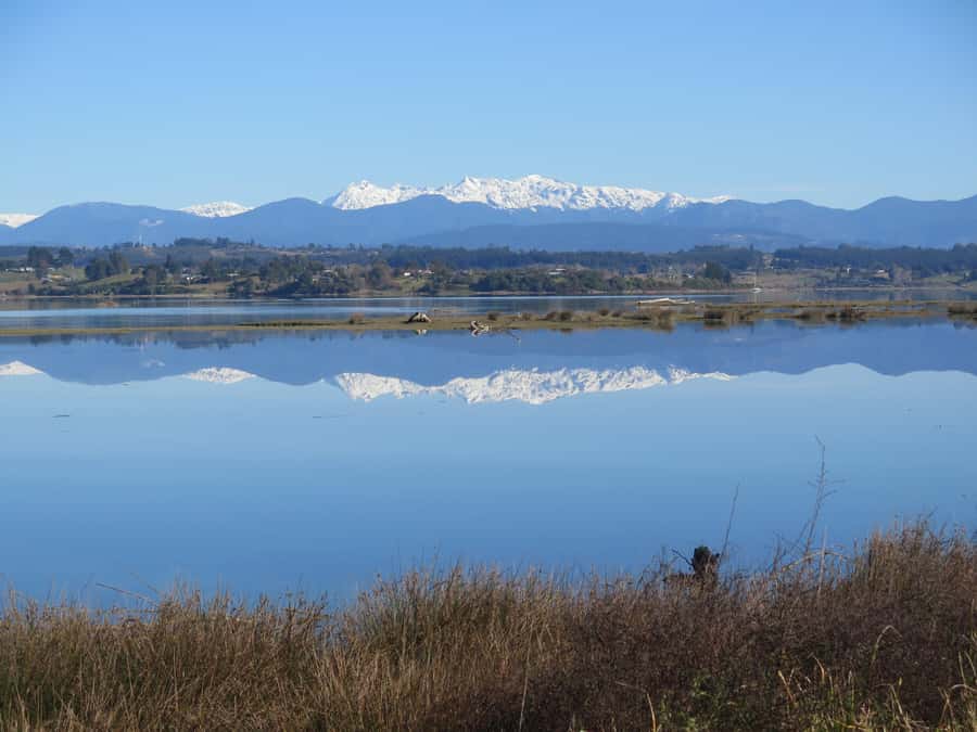 Nelson: Great Taste Trail Coastal Bike Ride to Mapua - Who This Coastal Bike Ride Suits Best (and Who Should Skip It)