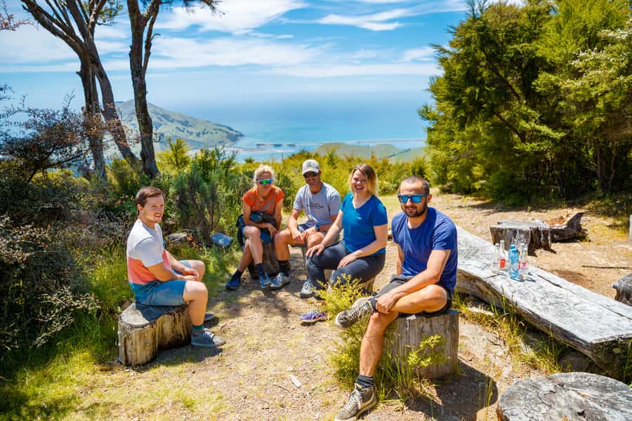 Nelson: Guided Quad Biking Tour Through Forest and Farmland - Value for money at around $80 per person