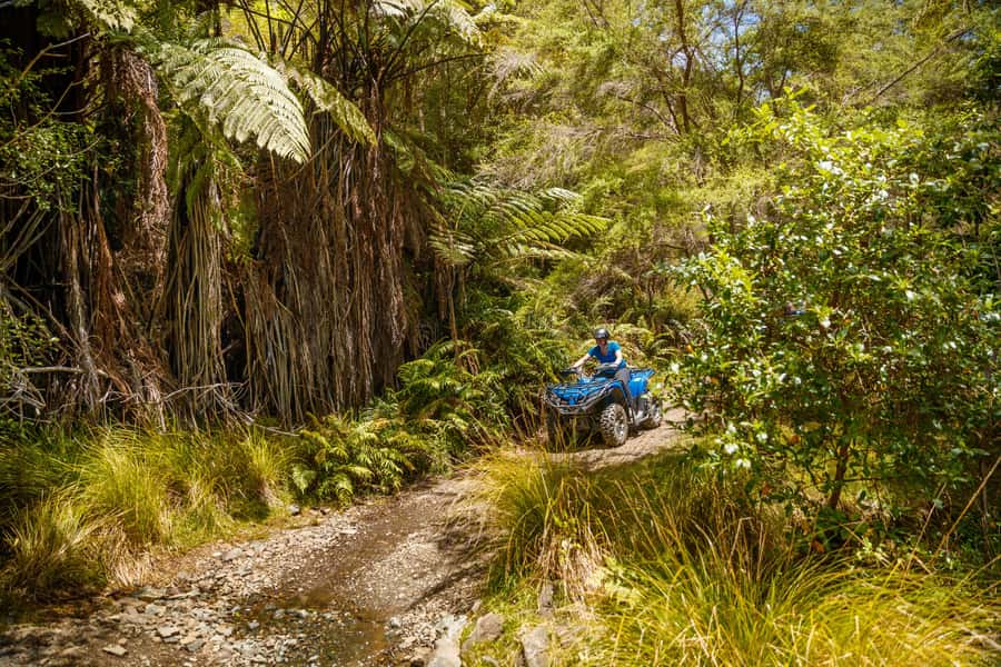 Nelson: Guided Quad Biking Tour Through Forest and Farmland - Farm Forest Ride (about 1.5 hours): Skywire Hill and river-flat loops