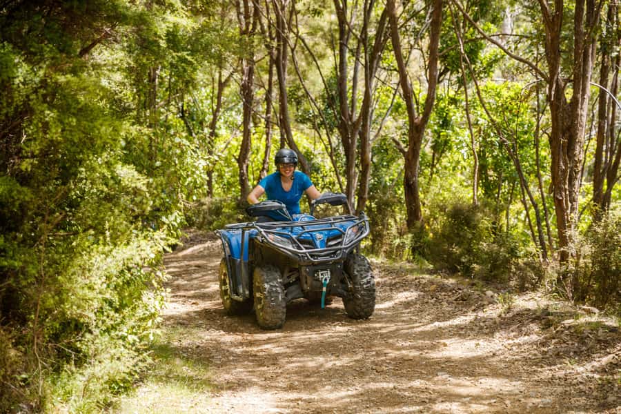 Nelson: Guided Quad Biking Tour Through Forest and Farmland - What you might notice about the ride style