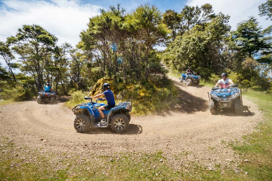 Nelson: Guided Quad Biking Tour Through Forest and Farmland - Guides like Harry, Cortez, Georgia, and Fletcher: the local context matters