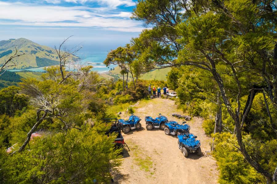 Nelson: Guided Quad Biking Tour Through Forest and Farmland - Safety briefing and instruction: you learn fast, then you ride