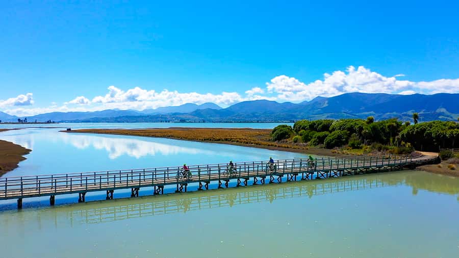 Nelson to Mapua: Full-Day Cycling Self-Guided Adventure - Key highlights