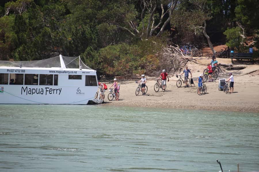 Nelson to Mapua: Full-Day Cycling Self-Guided Adventure - Starting in Nelson: bike fitting, trail doc, and getting your bearings