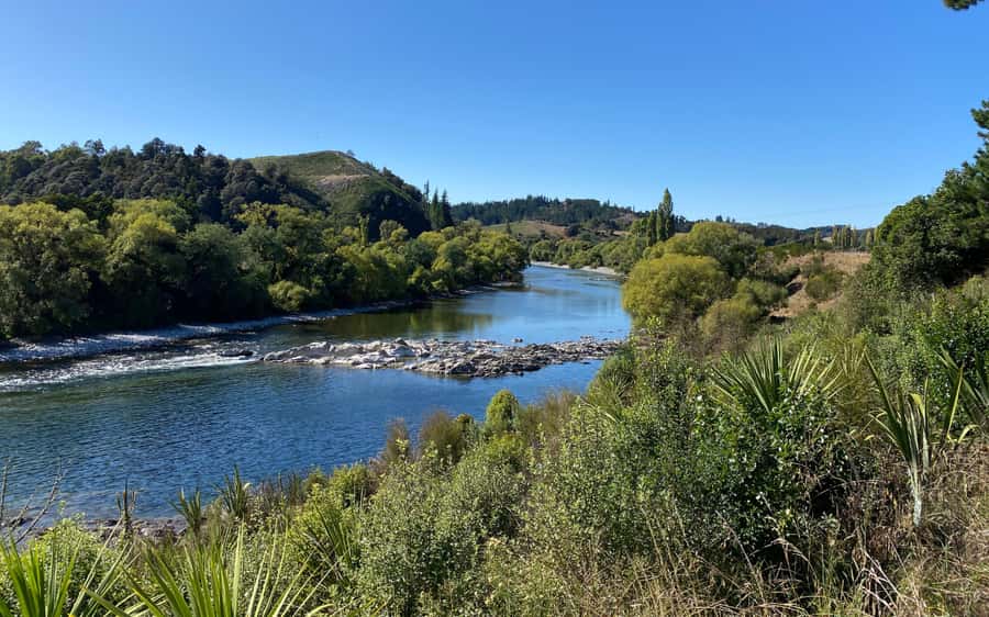 Nelson to Mapua: Full-Day Cycling Self-Guided Adventure - Waimea Swing Bridge: the photo stop that feels like a finish line