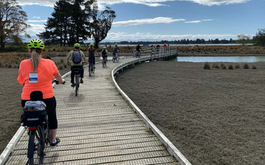 Nelson to Mapua: Full-Day Cycling Self-Guided Adventure - What’s included: bikes, gear, and trail support that actually matters