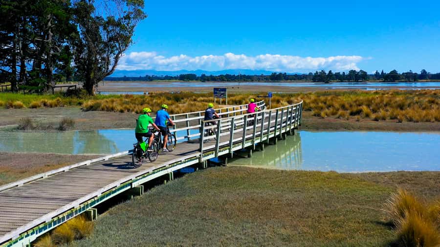 Nelson to Mapua: Full-Day Cycling Self-Guided Adventure - Nelson City to Mapua: Classic Car Museum, Honest Lawyer, and your first taste stops