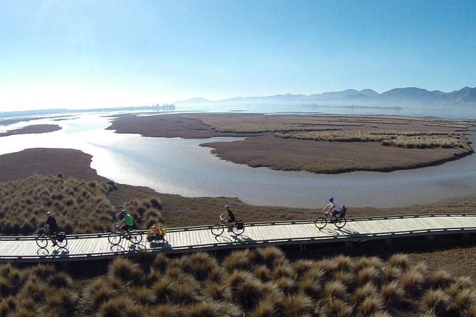 Nelson to Mapua: Full-Day Self-Guided Cycling Adventure - Key things to know before you pedal from Nelson to Mapua
