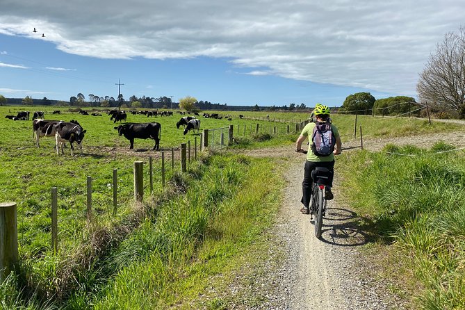 Nelson to Mapua: Full-Day Self-Guided Cycling Adventure - Weather, effort, and how to pack for this kind of day