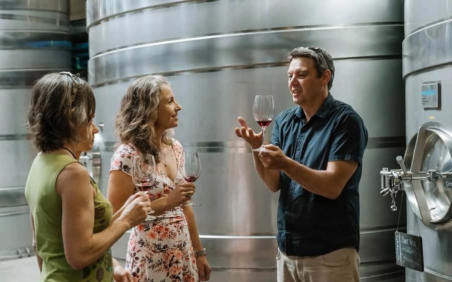 Nelson: Wine Tour with Tastings and Lunch - The Flow of the Morning: Four Tastings That Build a Bigger Picture