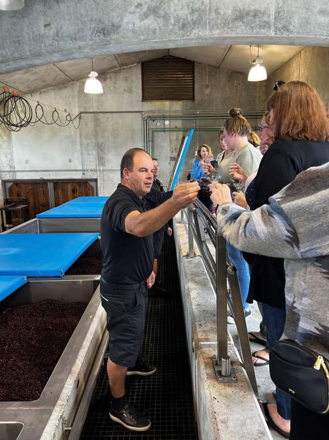 Nelson: Wine Tour with Tastings and Lunch - Boutique Wineries, Real Craft, and the Conversation Between Sips