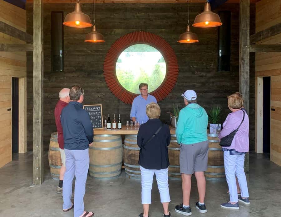 Nelson: Wine Tour with Tastings and Lunch - Things to Know Before You Go (So You Enjoy It More)