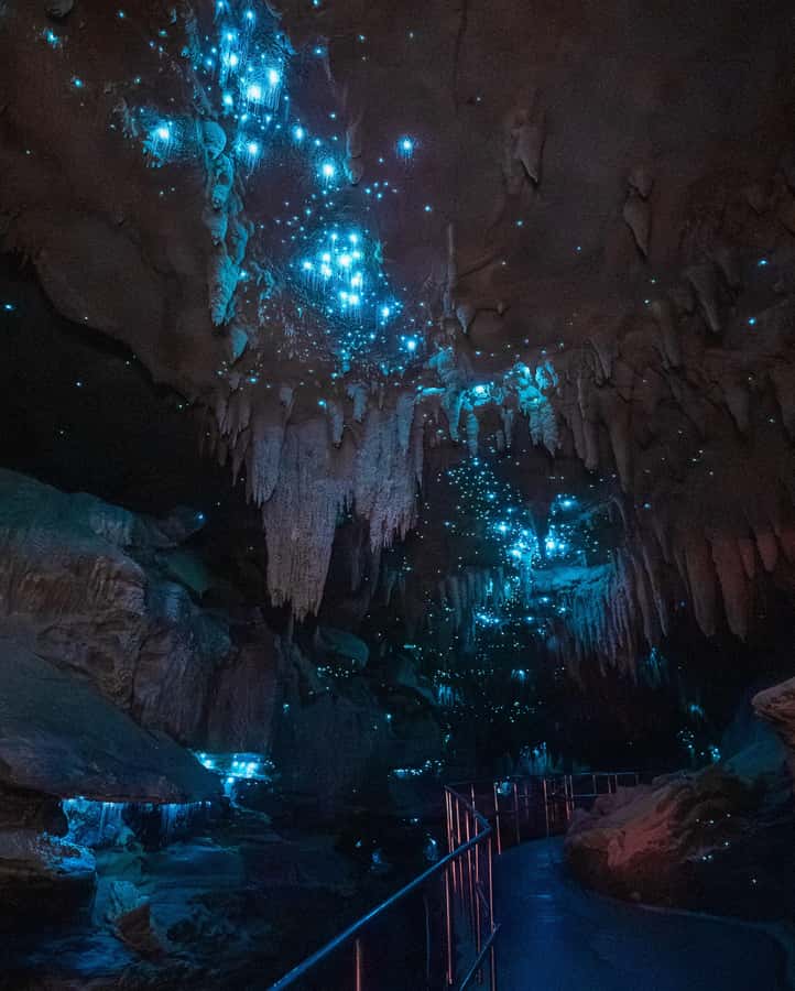 New Zealand: Milky Way Glowworm Cave Tour - Key Things You’ll Remember