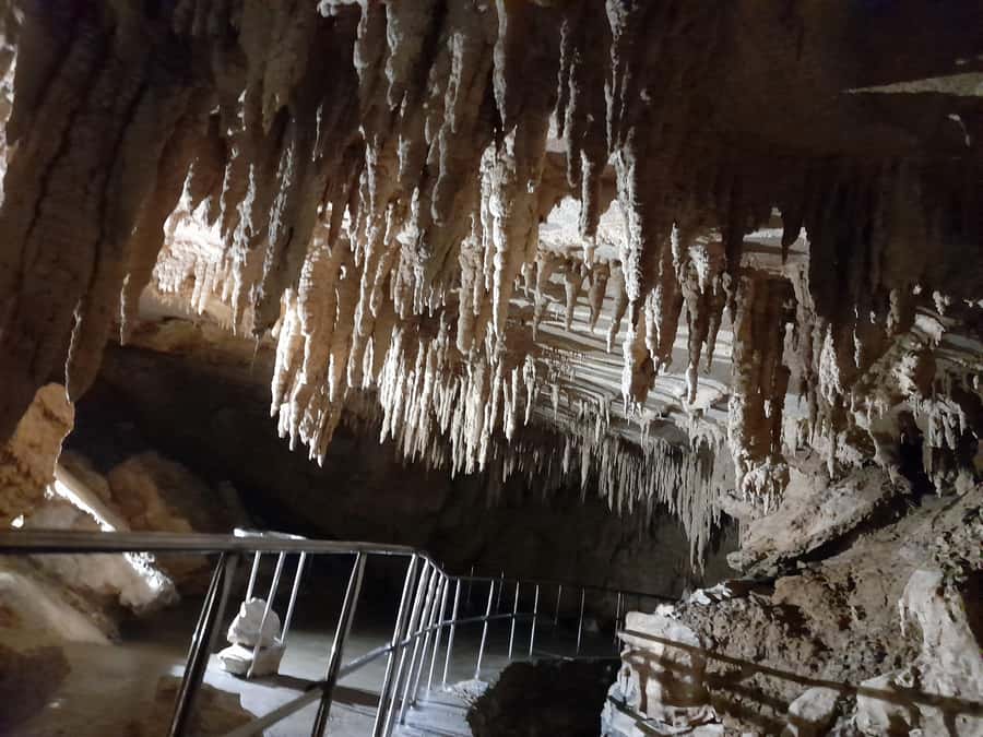 New Zealand: Milky Way Glowworm Cave Tour - Logistics Near Auckland: How to Set Yourself Up