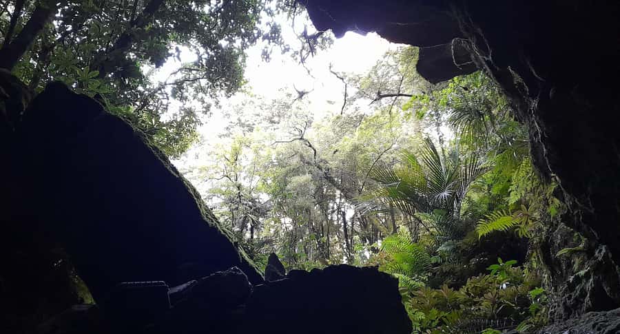 New Zealand: Milky Way Glowworm Cave Tour - Who Should Book This Glowworm Cave Tour