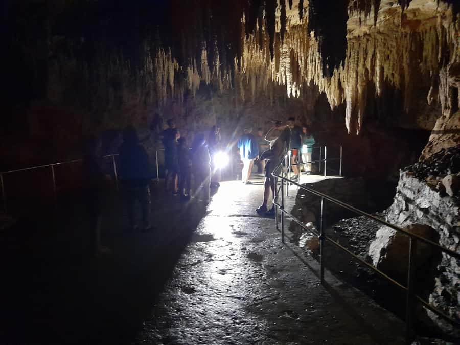 New Zealand: Milky Way Glowworm Cave Tour - Final Call: Should You Book It?