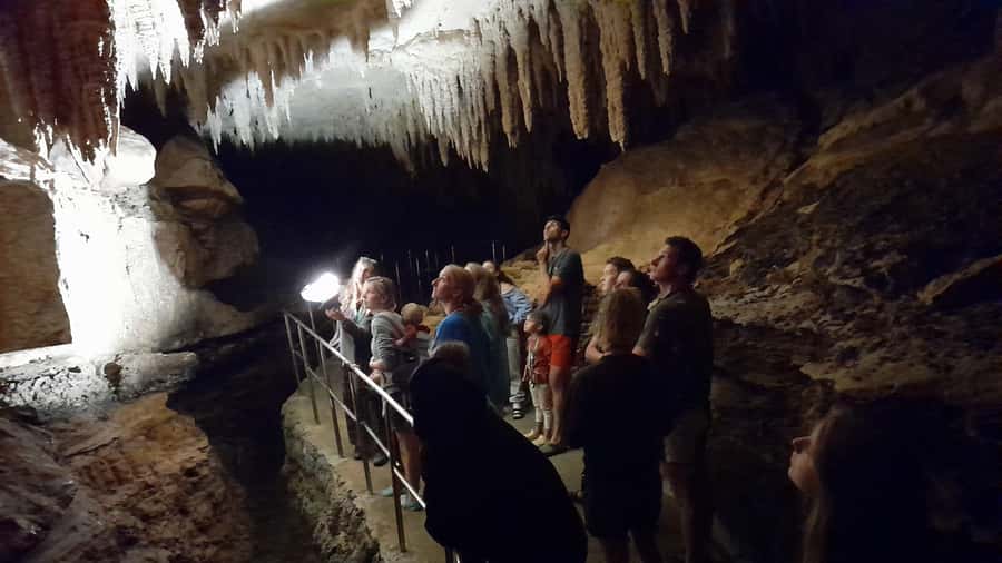 New Zealand: Milky Way Glowworm Cave Tour - Seeing Glowworms Up Close Without Making It Complicated