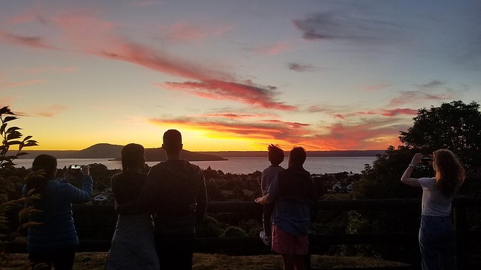 Nocturnal adventure Glow-worm tour - Who should book it, and who should think twice