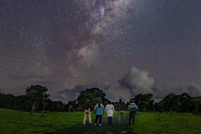 Nocturnal Wonders Tawharanui Kiwi Spotting and Stargazing Tour - Tawharanui at night: why this feels different from a daytime Auckland outing