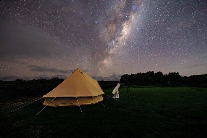Nocturnal Wonders Tawharanui Kiwi Spotting and Stargazing Tour - Why combining kiwi spotting and night sky viewing is worth your time