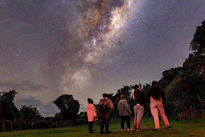 Nocturnal Wonders Tawharanui Kiwi Spotting and Stargazing Tour - Price and value: is $93.09 worth it for kiwi and stars?