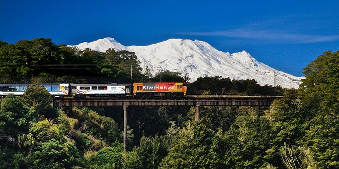 Northern Explorer Train Journey from Auckland to Wellington - Food on Board: Licensed Café Carriage, Snack Timing, and What to Expect