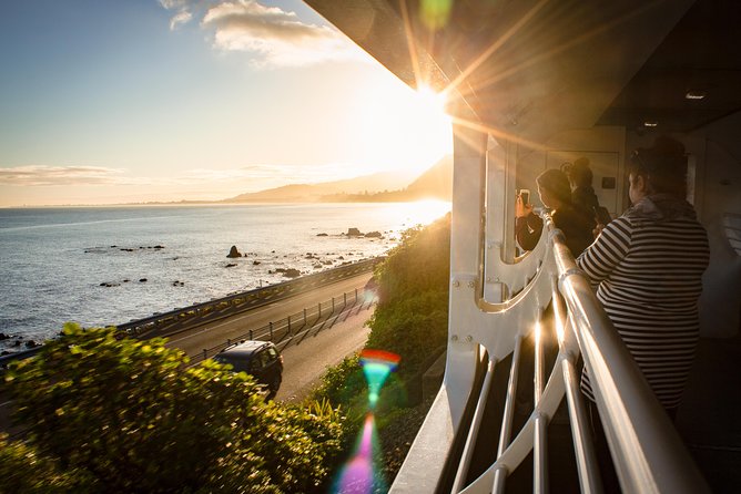 Northern Explorer Train Journey from Auckland to Wellington - Timing Reality Check: Start Time, 20-Minute Check-In, and Why the Day Can Run Long