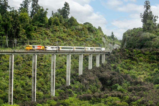 Northern Explorer Train Journey from Wellington to Auckland - Key highlights you should care about