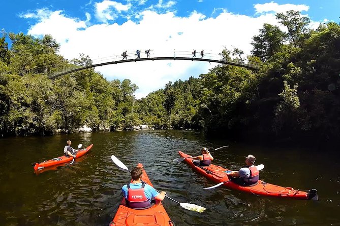 Oarsome Marine Reserve Kayak Tour - Abel Tasman National Park by kayak: the long middle day