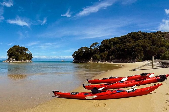 Oarsome Marine Reserve Kayak Tour - Price and value: is $198.58 a fair deal?