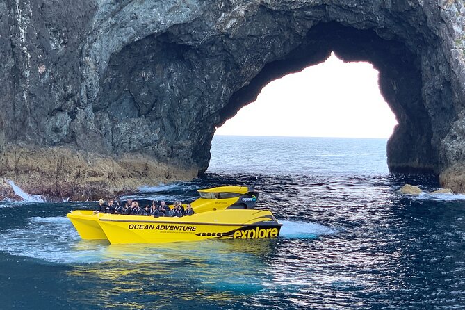 Ocean Adventure: Fast Boat to the Hole in the Rock - How the 90-Minute Timing Works for a Bay of Islands Day