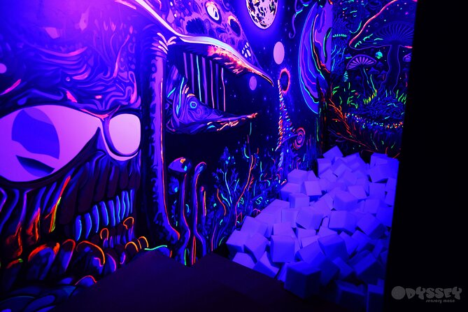 Odyssey Sensory Maze Entry Auckland Ticket - Who this is best for, and who should rethink it