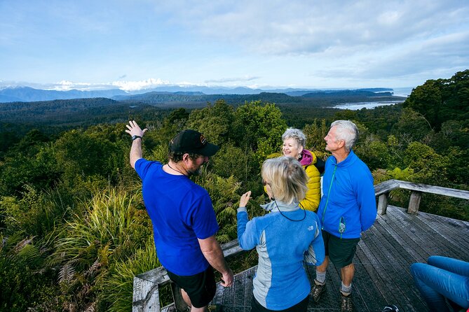Okarito Nature Tour - Stop 2: The Trig Walk through Native Bush to 360-Degree Views