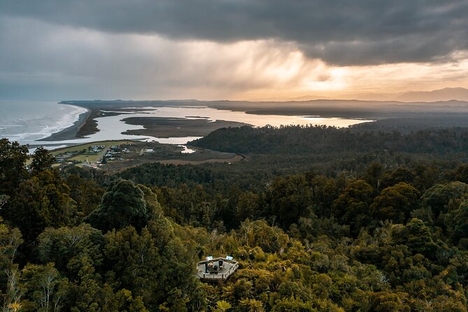 Okarito Nature Tour - What the Guides Do Well: Local Plant and Bird Translation