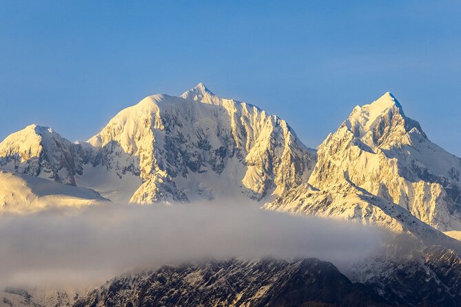 Okarito Nature Tour - Getting There from Franz Josef Village: The Small-Group Advantage