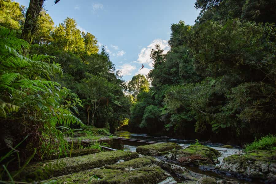 Okere Falls: Zipline over Waterfalls Experience - Key highlights in a nutshell