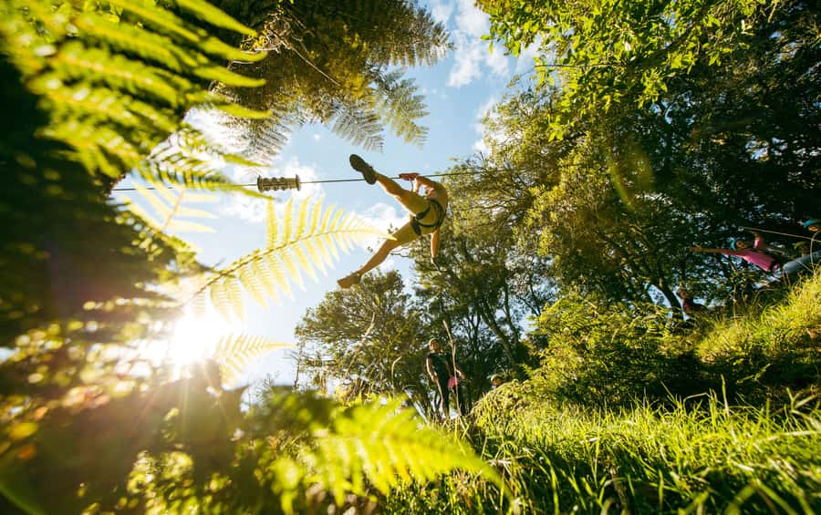 Okere Falls: Zipline over Waterfalls Experience - Māori tea and storytelling, and how it changes the feel of the day