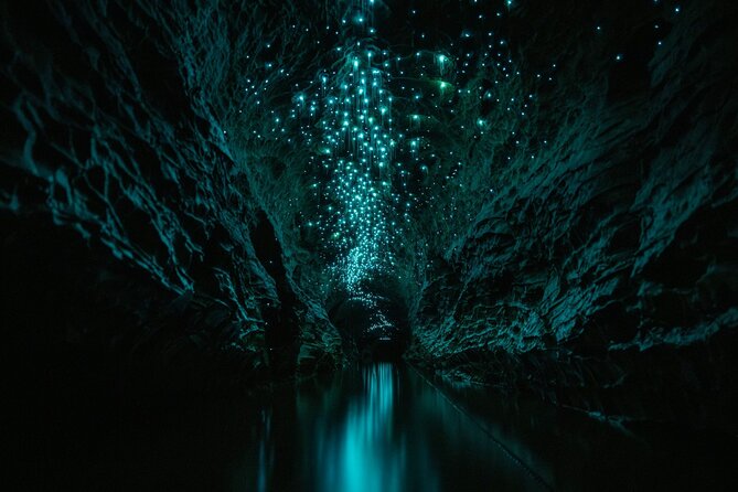 Okohua Glowworm Cave Adventure - Okohua Glowworm Cave in Waitomo: why this tour feels special