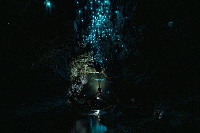 Okohua Glowworm Cave Adventure - The bush walk back and the cedar hot tub finish