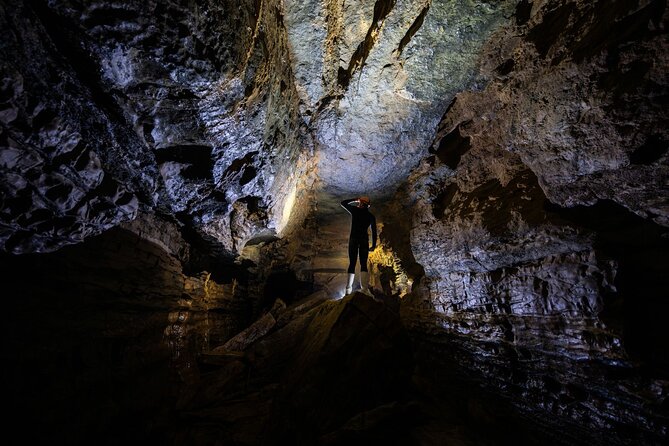 Okohua Glowworm Cave Adventure - Price and value at about $141.58 per person
