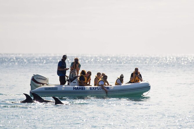 One Hour Cathedral Cove Boat Tour in Hahei - Quick hits