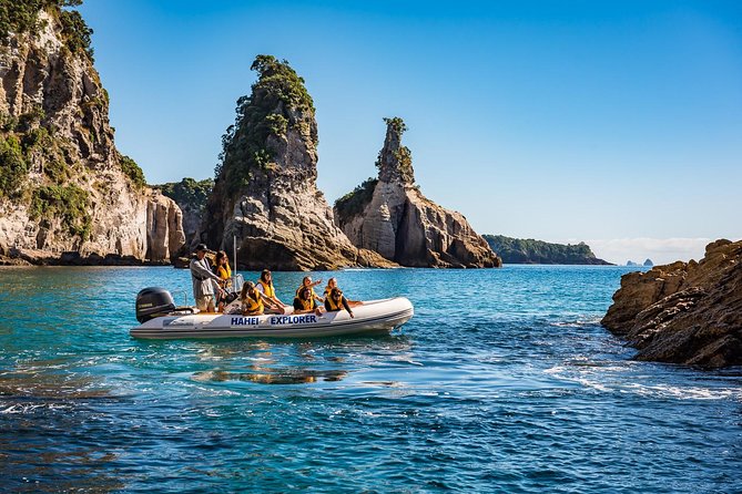 One Hour Cathedral Cove Boat Tour in Hahei - Price and Value for an Hour-Long Cave and Coast Cruise