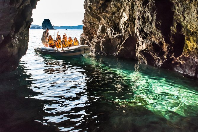 One Hour Cathedral Cove Boat Tour in Hahei - Who This Tour Fits Best (and Who Might Want a Backup Plan)