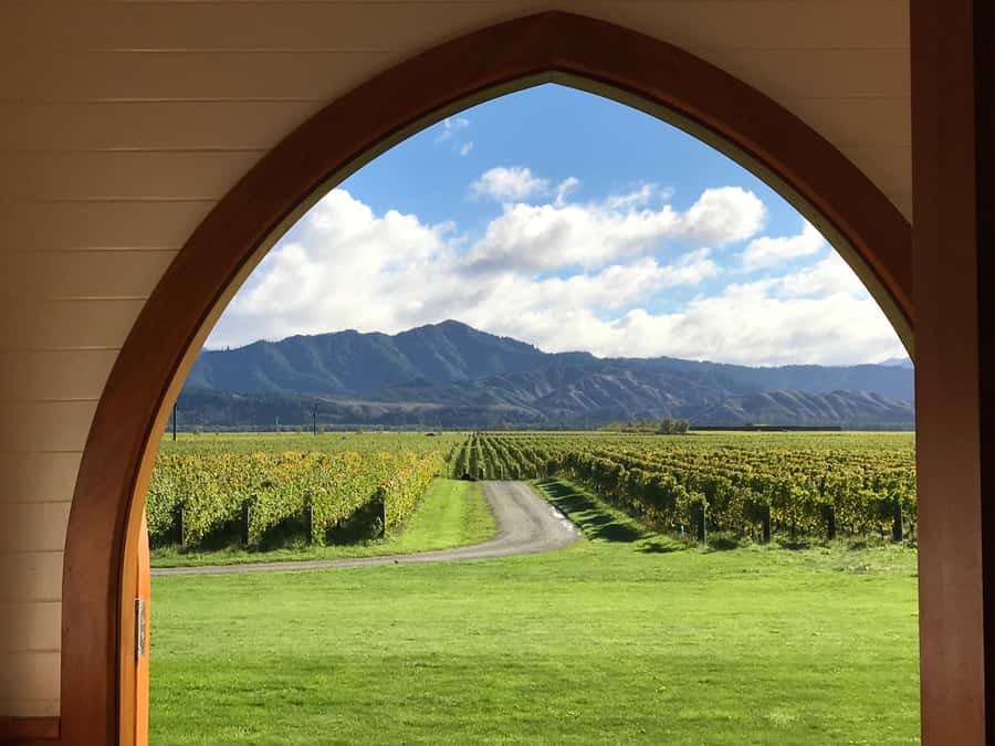 Onshore Highlights of Marlborough's Wine Region from Picton - Gourmet Stops in Marlborough: Cheese, Oils, Liqueurs, and Chocolate