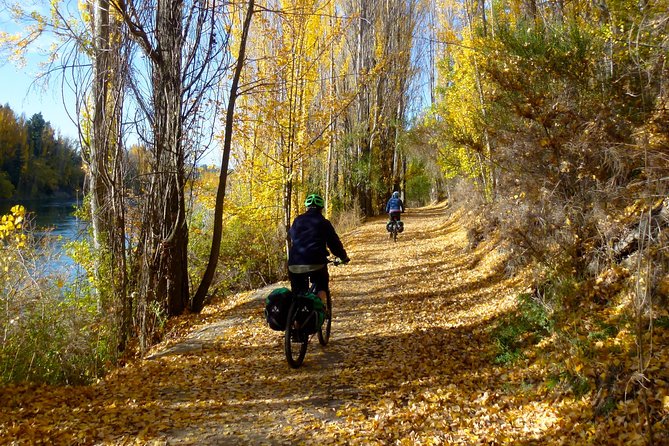 Otago Central Rail Trail One Day Wonder Cycle tour - Ophir Option, Then Tiger Hill Down To Chatto Creek Tavern