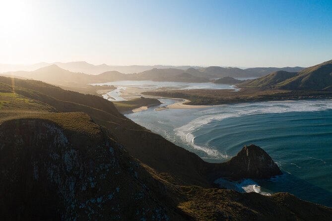 Otago Peninsula In-Depth Tour & Blue Penguins Pukekura Experience - The Otago Peninsula drive: geology, botany, and why your guide matters