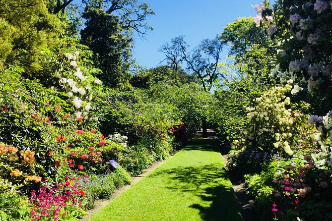 Otago Peninsula Scenery and Dunedin City Highlights Tour - Otago Peninsula By Highcliff And Portobello Road: The Real Scenic Payoff